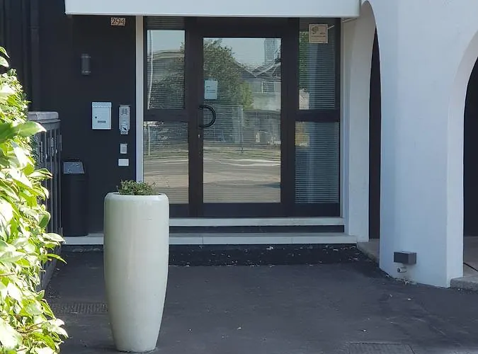 Daisy 2* 圣乔瓦尼·鲁帕托