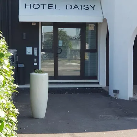 Daisy 2* سان جيوفانّي لوباتوتو